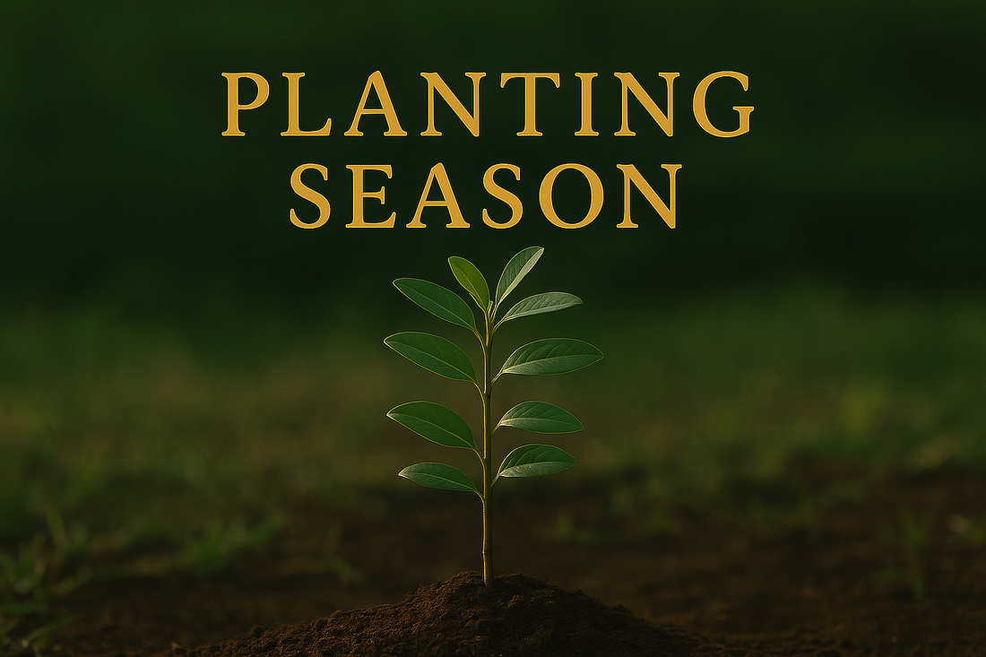 The Dream of Glintgrove