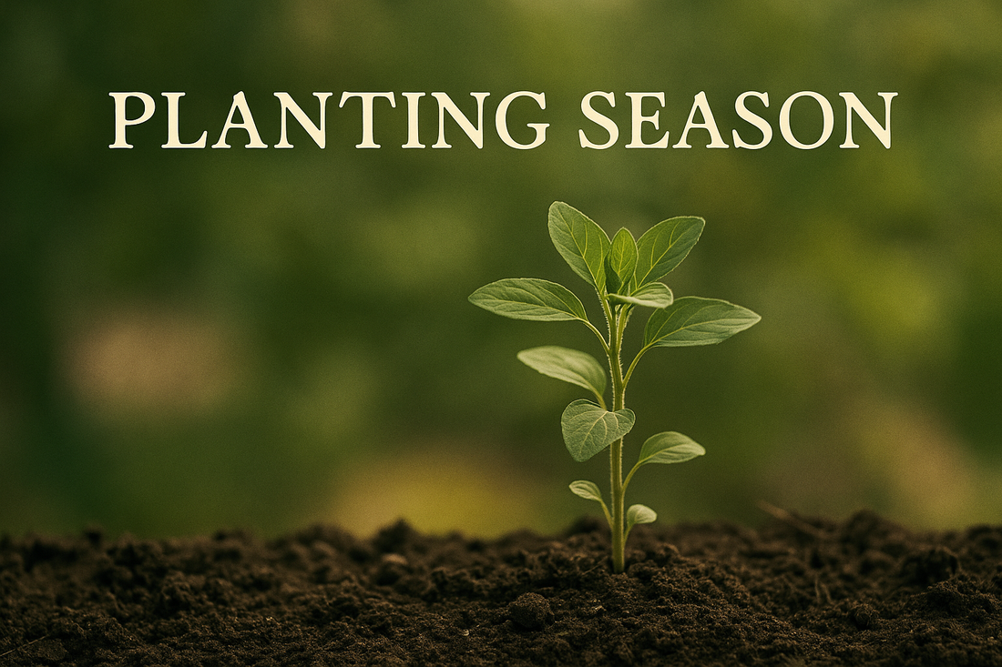 Growing Pains and Progress